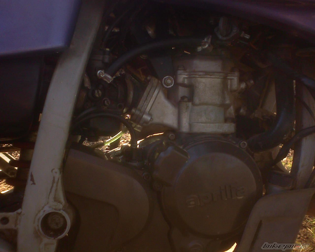 Photo 1281404