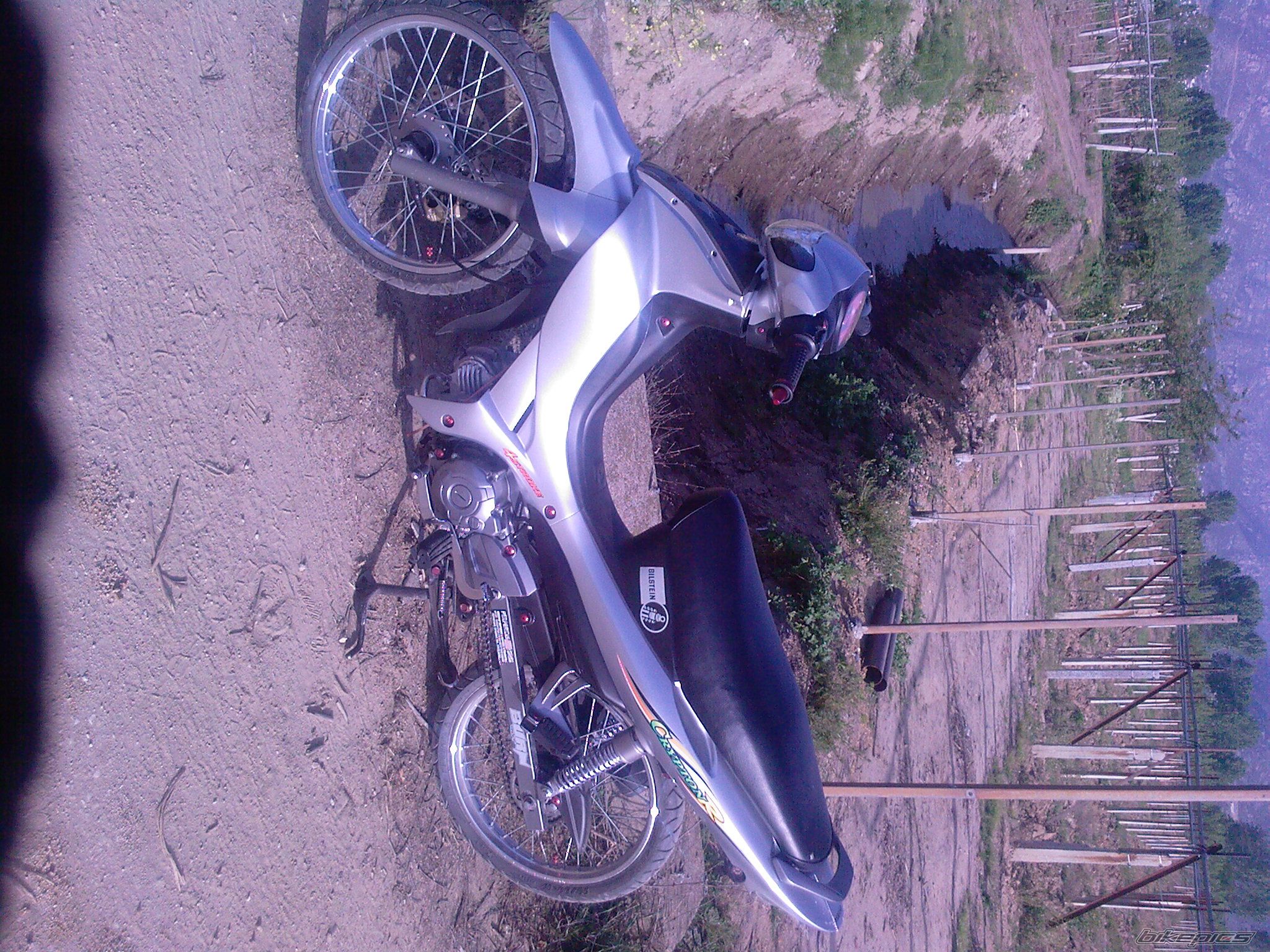 Photo 1281424