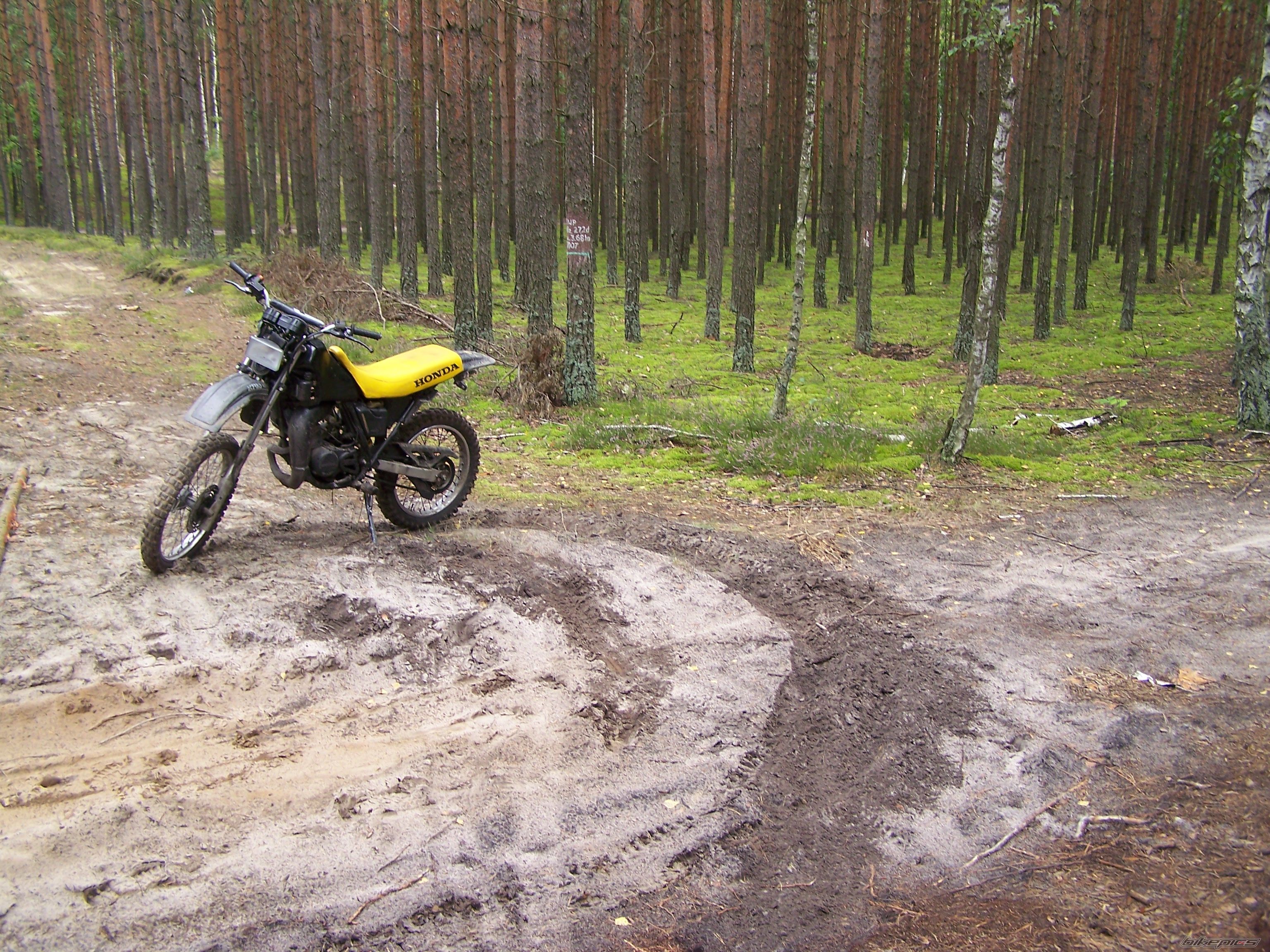 Photo 1281447