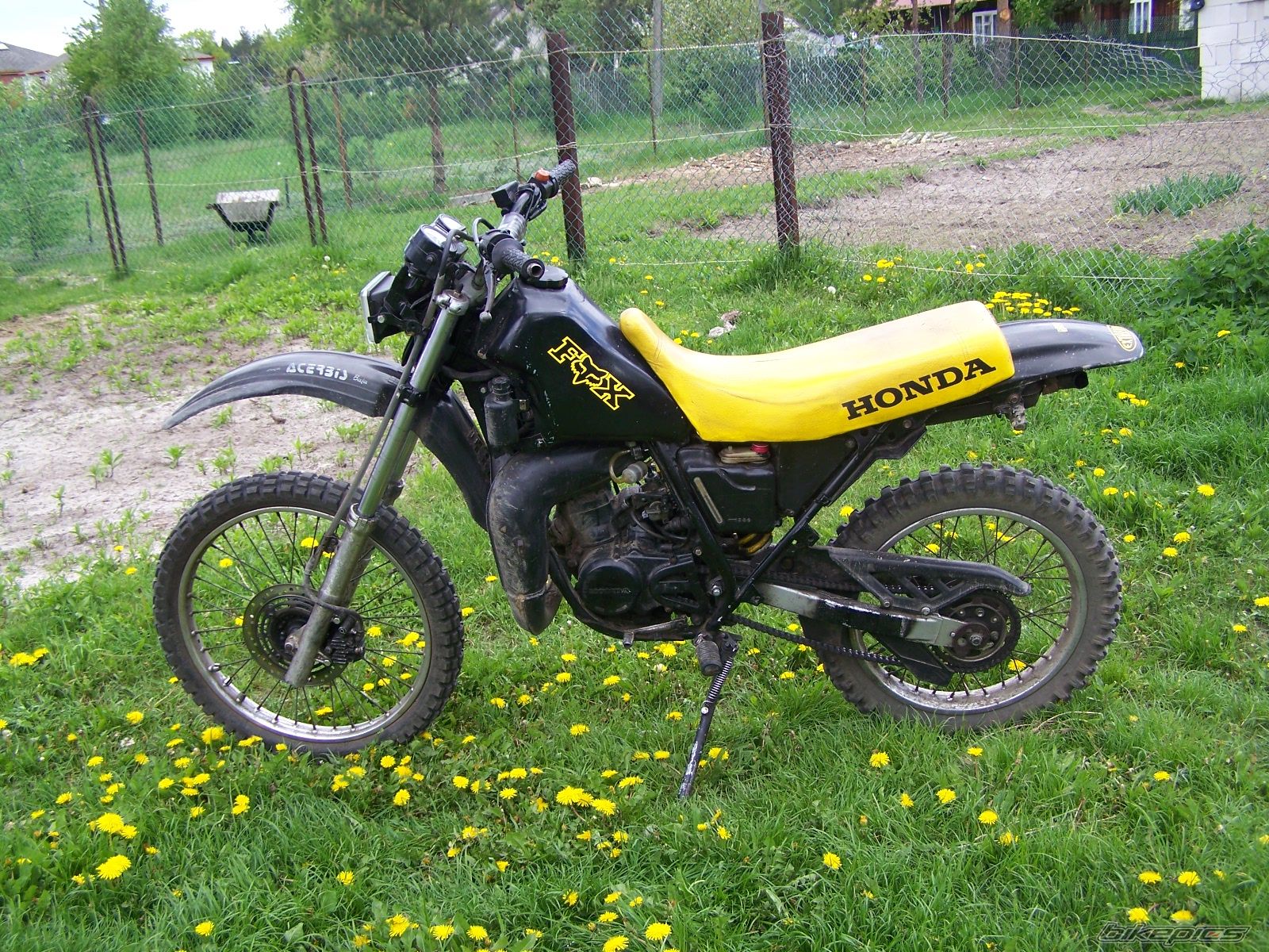 Photo 1281512