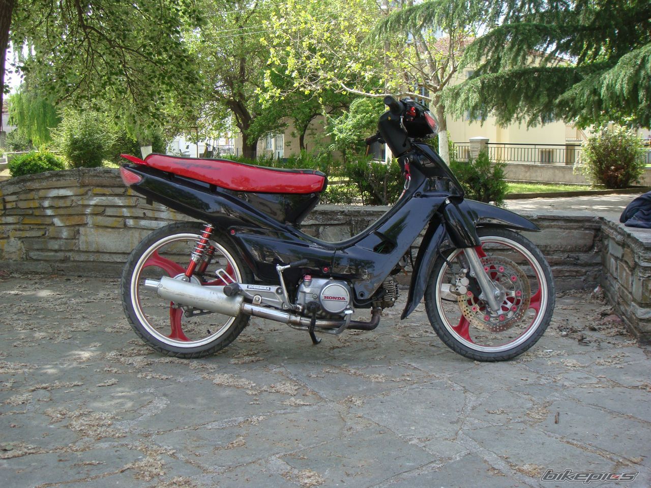 Photo 1281585