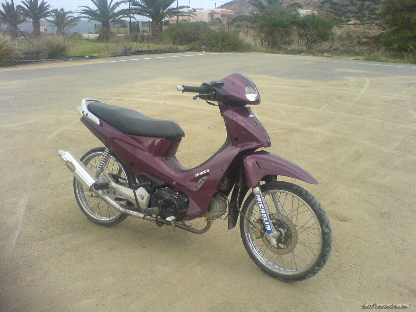 Photo 1281615