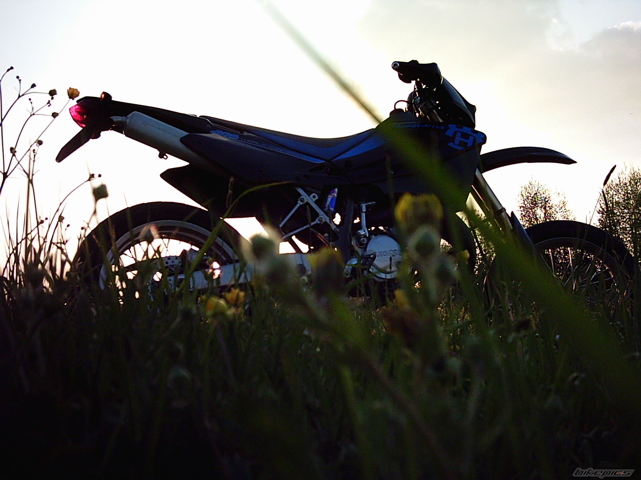 Photo 1281625