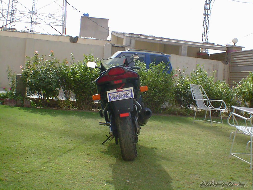 Photo 1281635