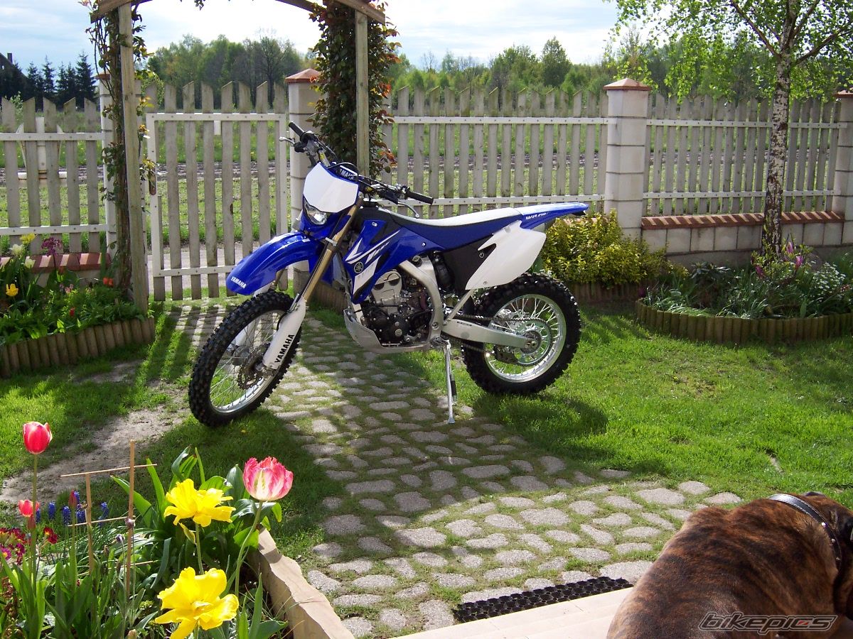 Photo 1281636