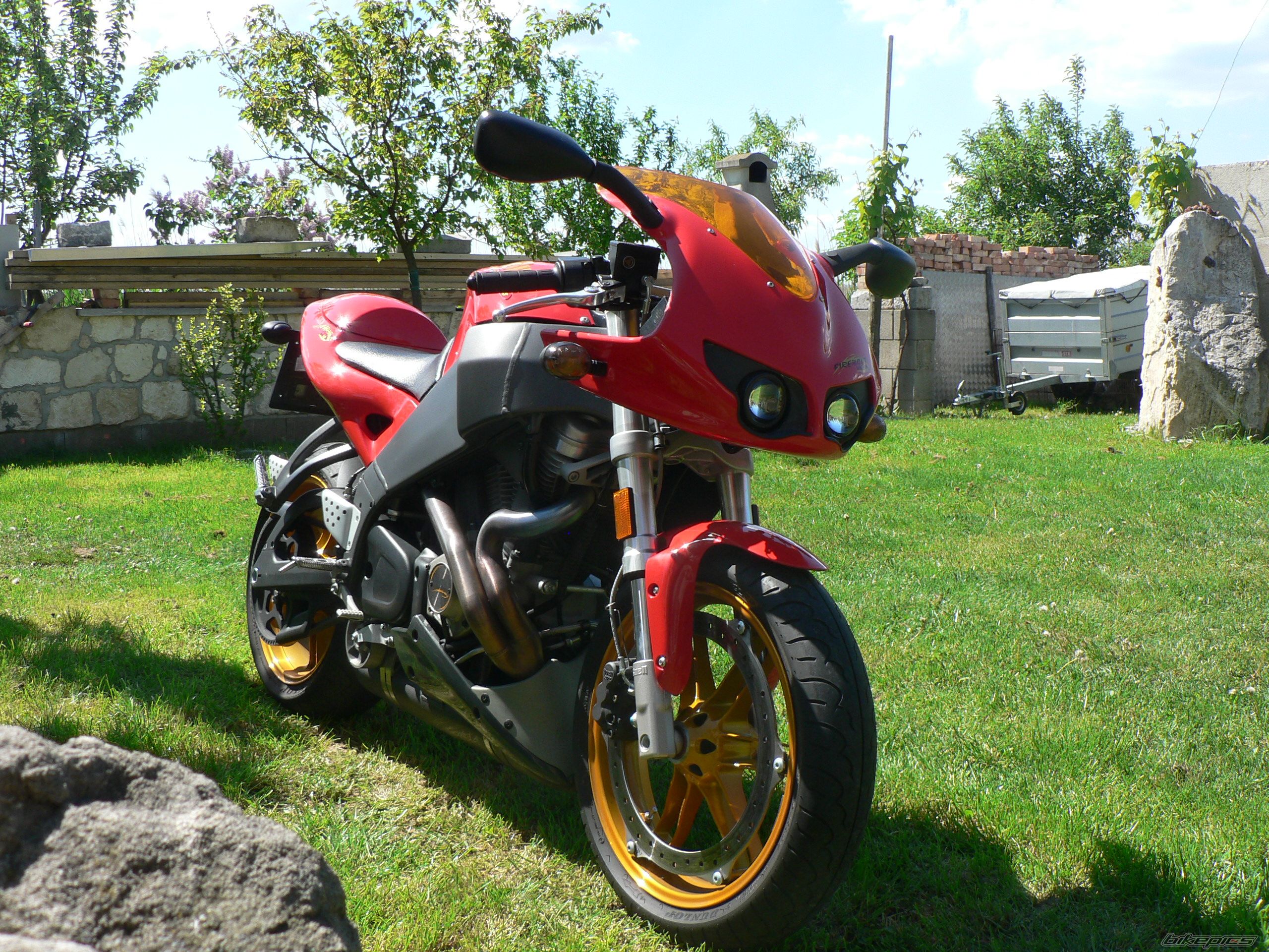 Photo 1281640