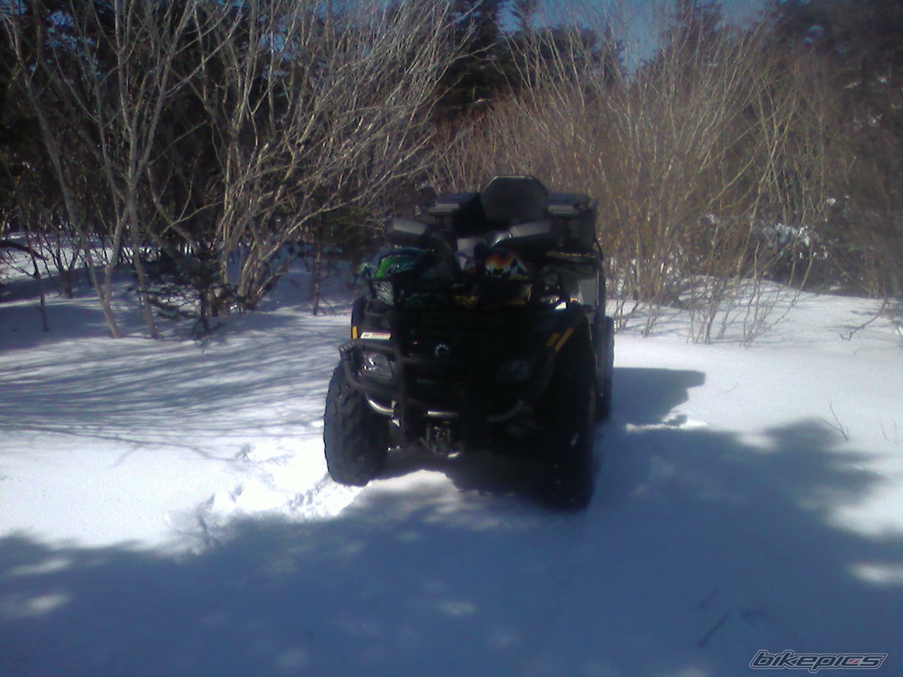 Photo 1281663
