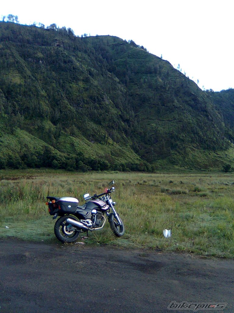 Photo 1281691