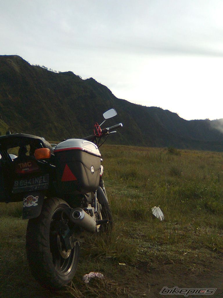 Photo 1281692