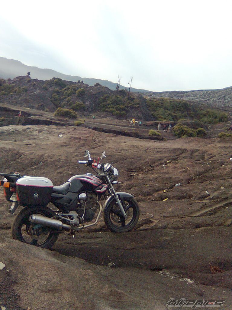 Photo 1281697