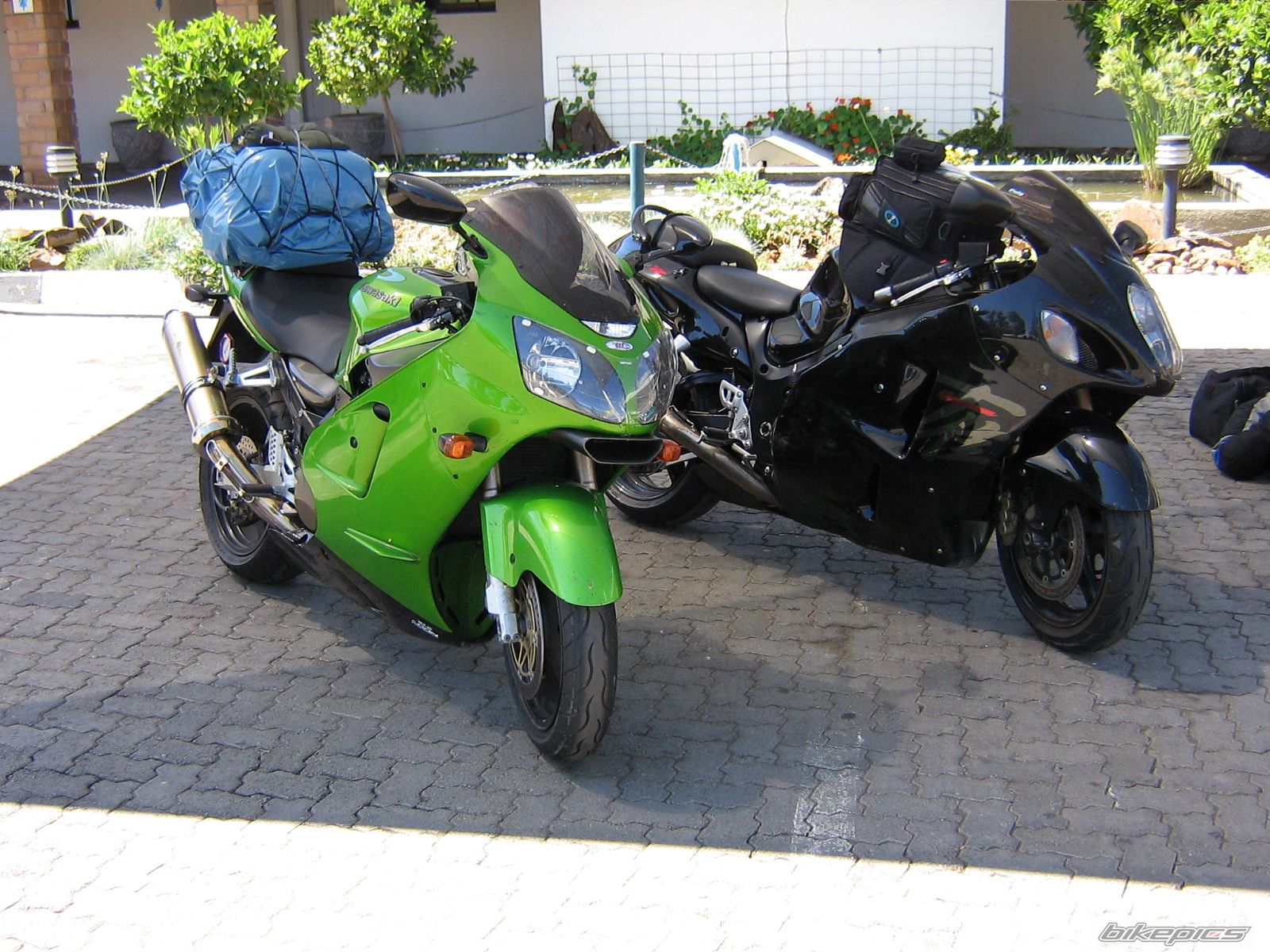 Photo 1281713