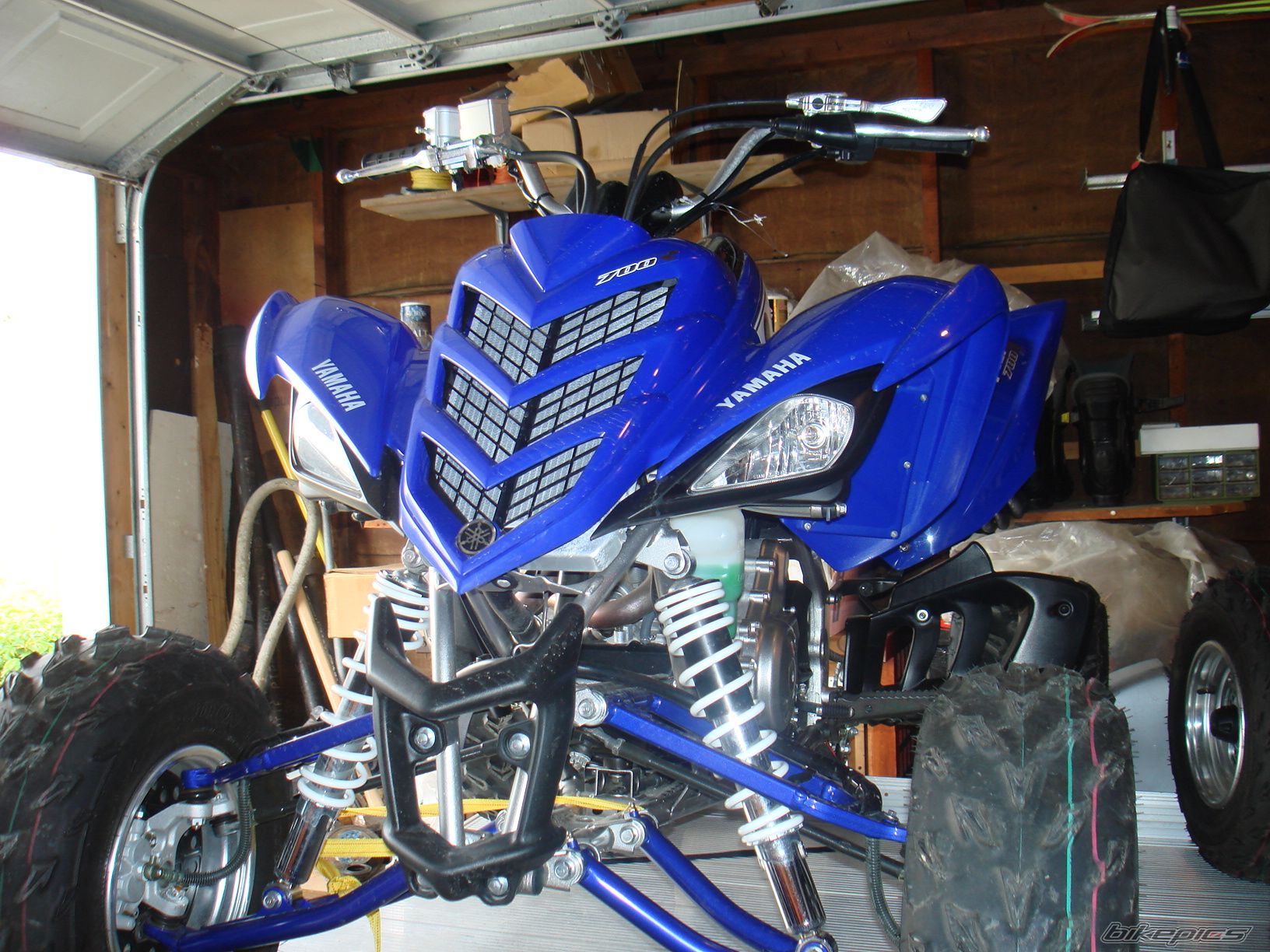 Photo 1281783