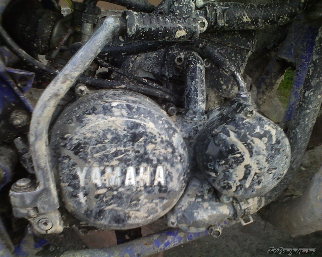 Bike Photo 1281813