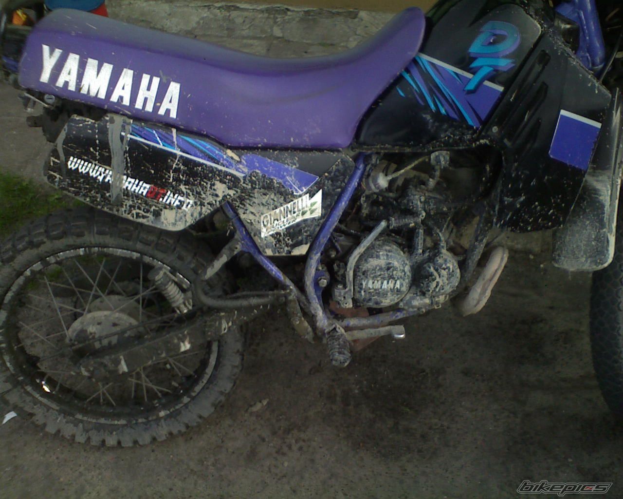 Bike Photo 1281814