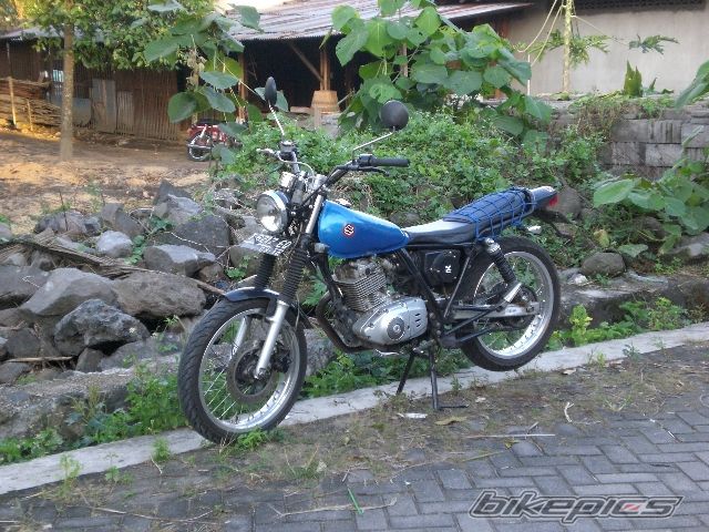 Photo 1281837