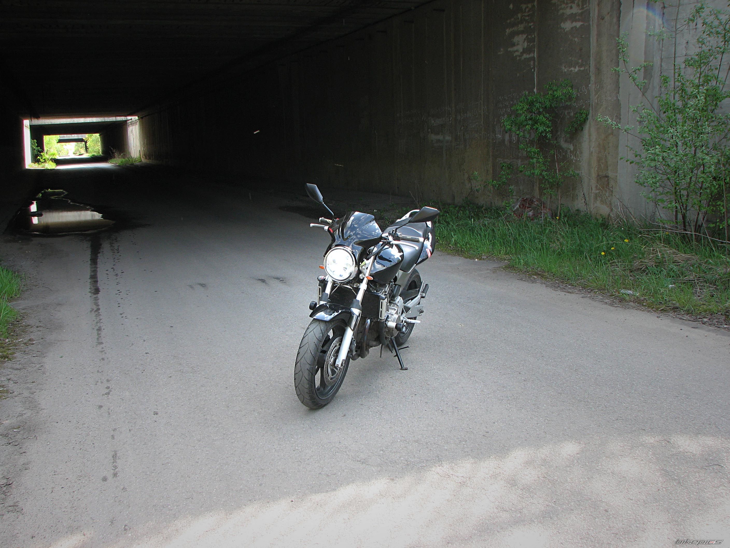 Photo 1281872