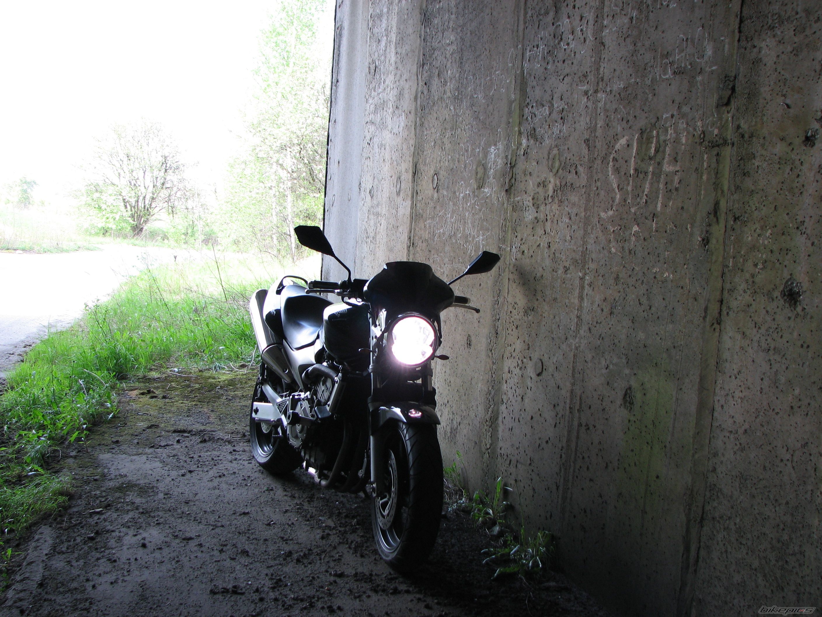 Photo 1281880