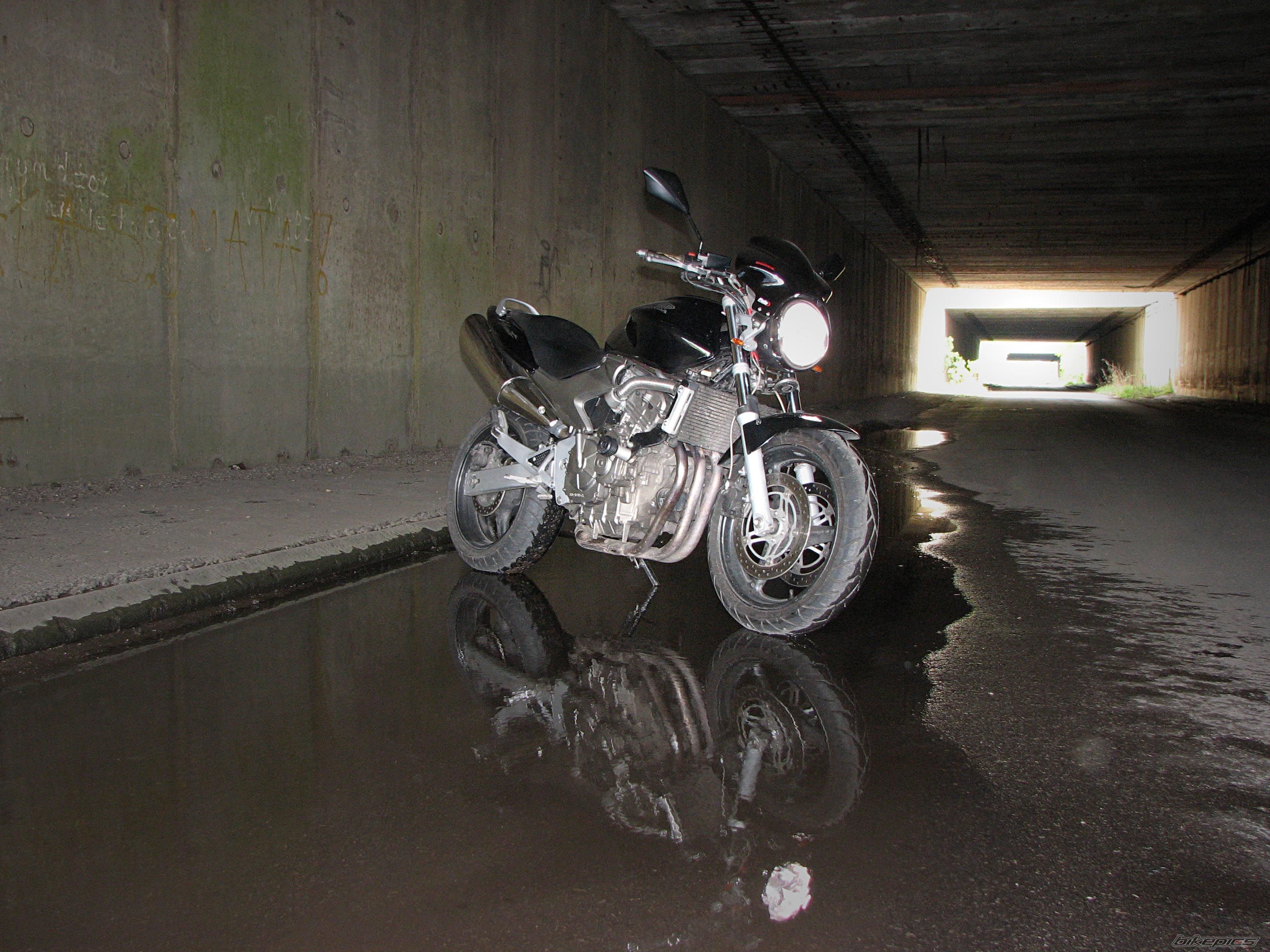 Photo 1281884