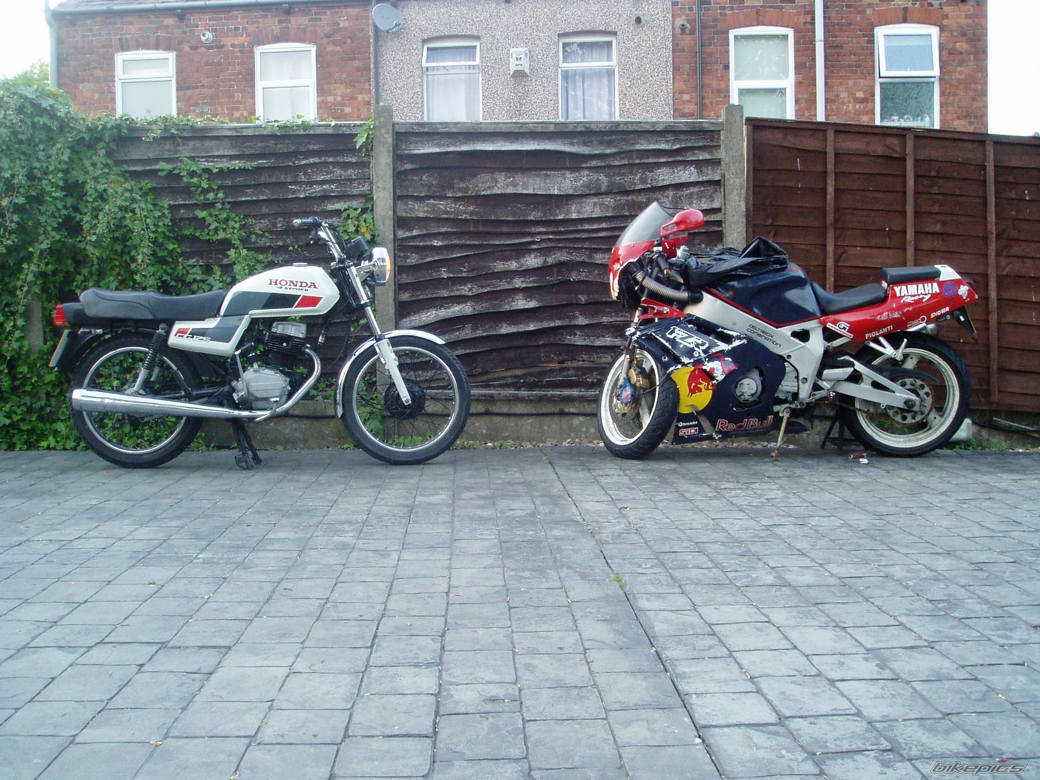 Photo 1281939