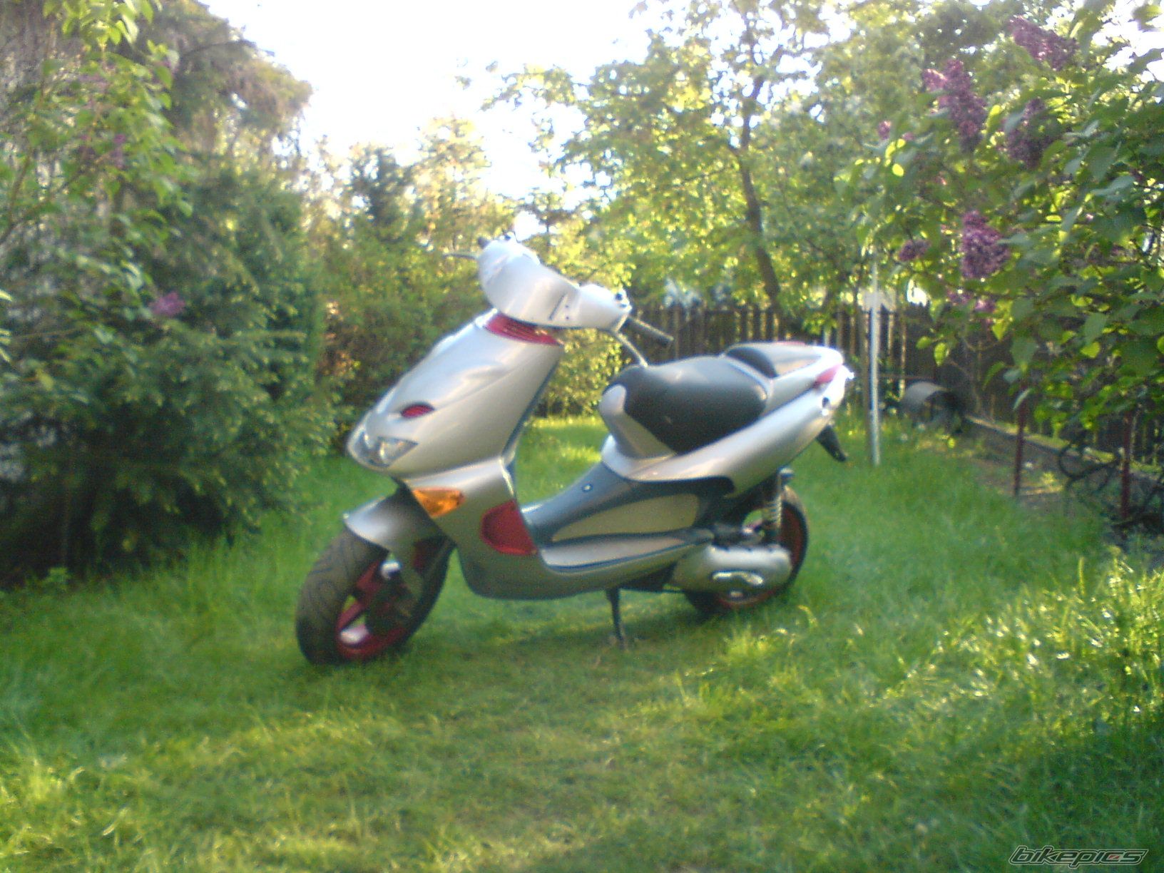 Photo 1281942