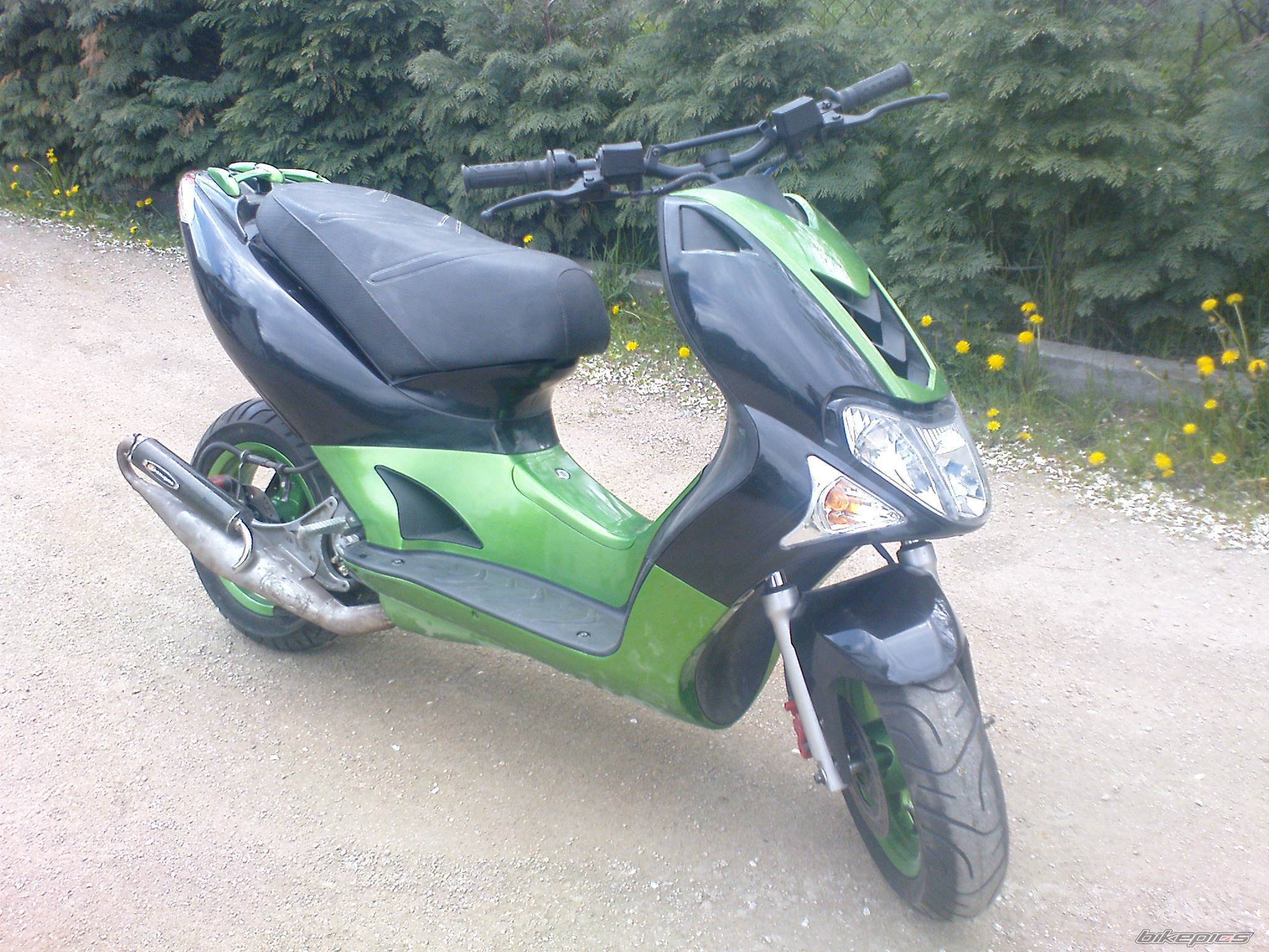Photo 1281944
