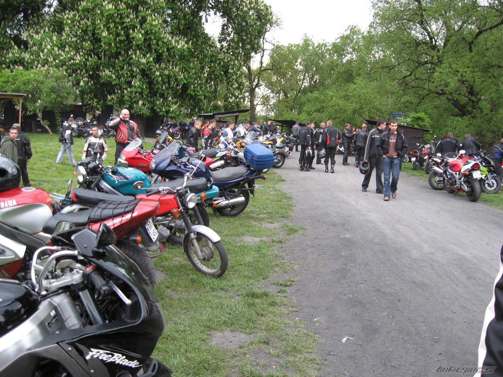 Bike Photo 1281946