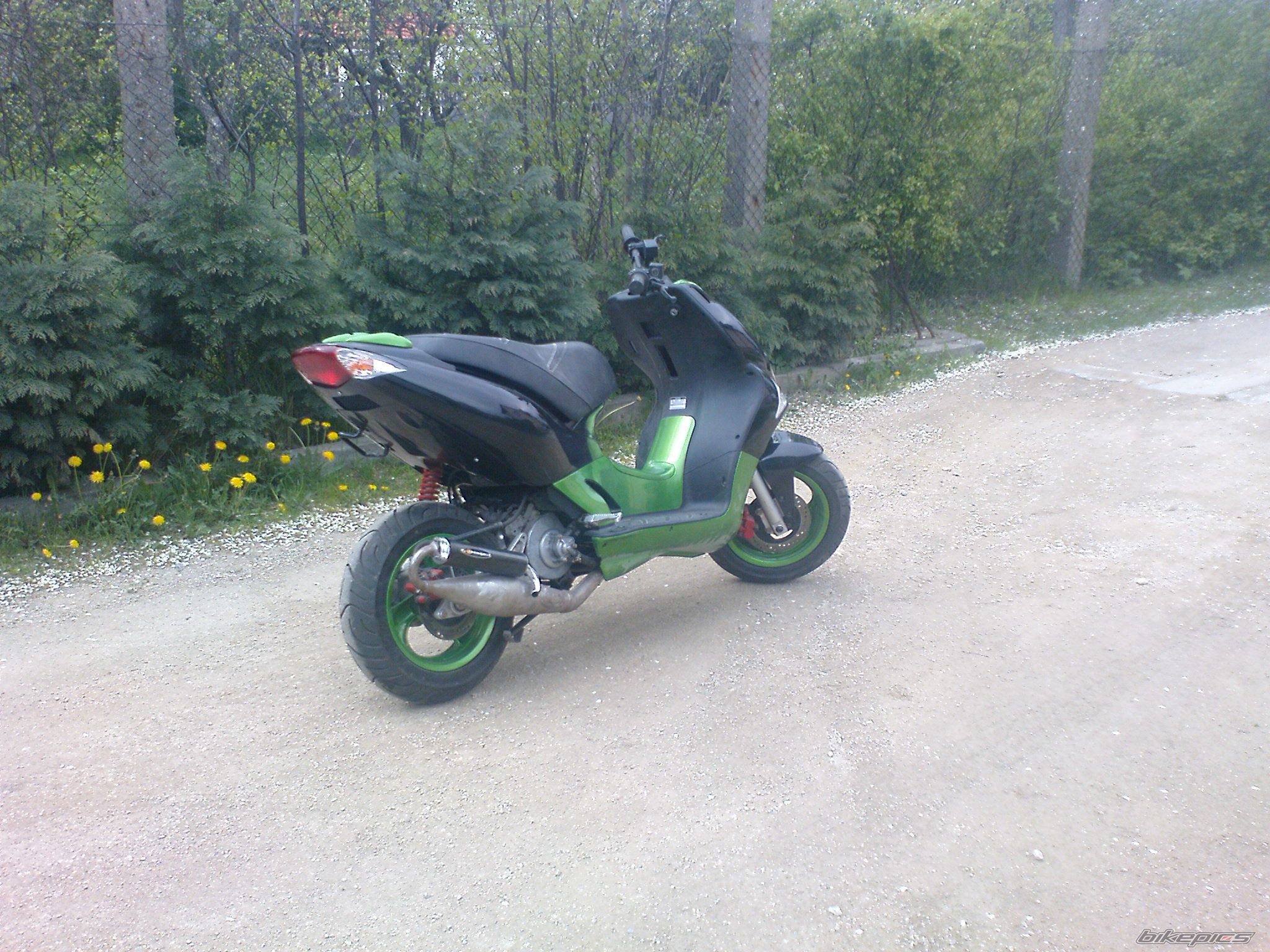 Photo 1281960