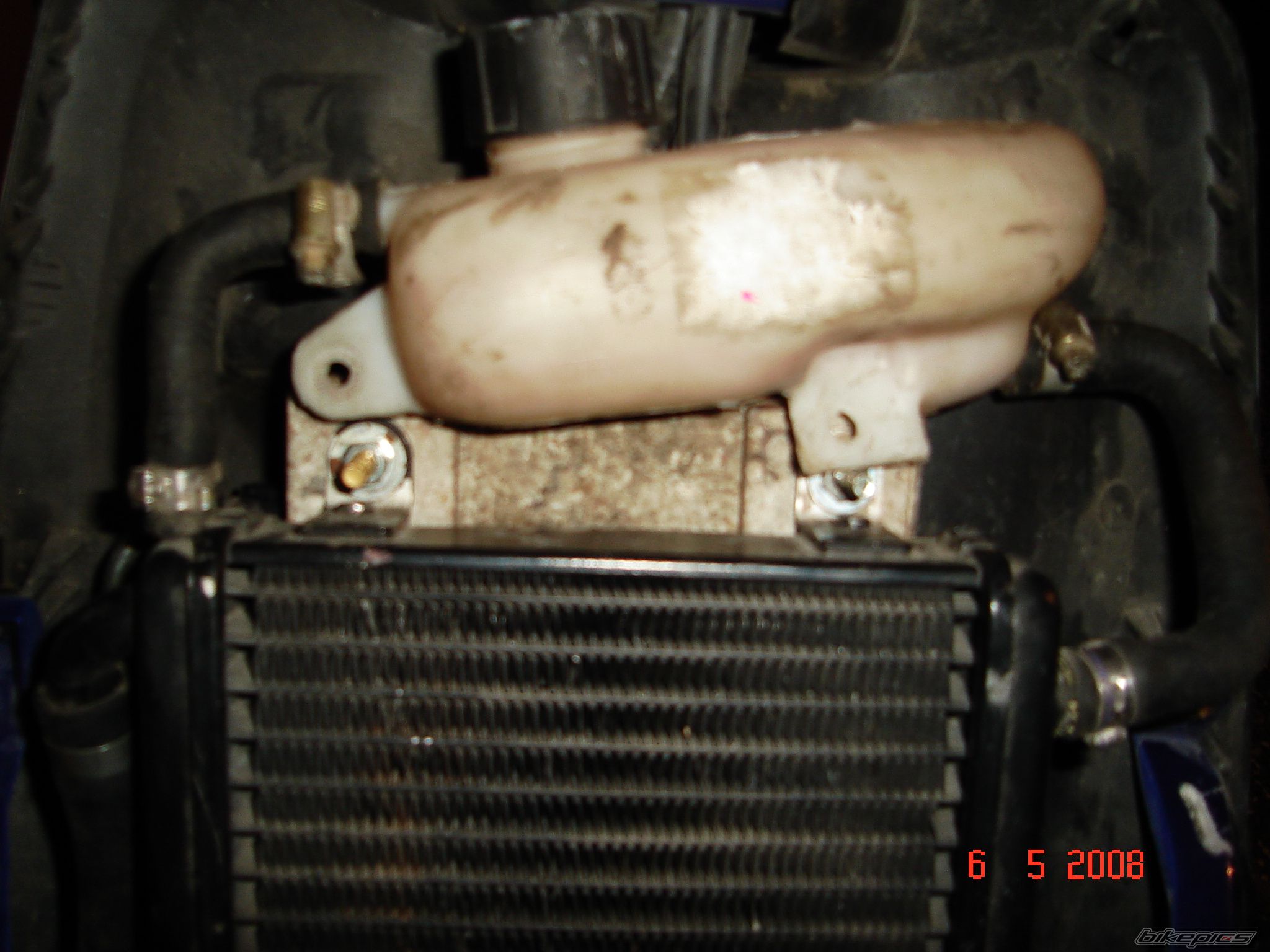 Photo 1281981