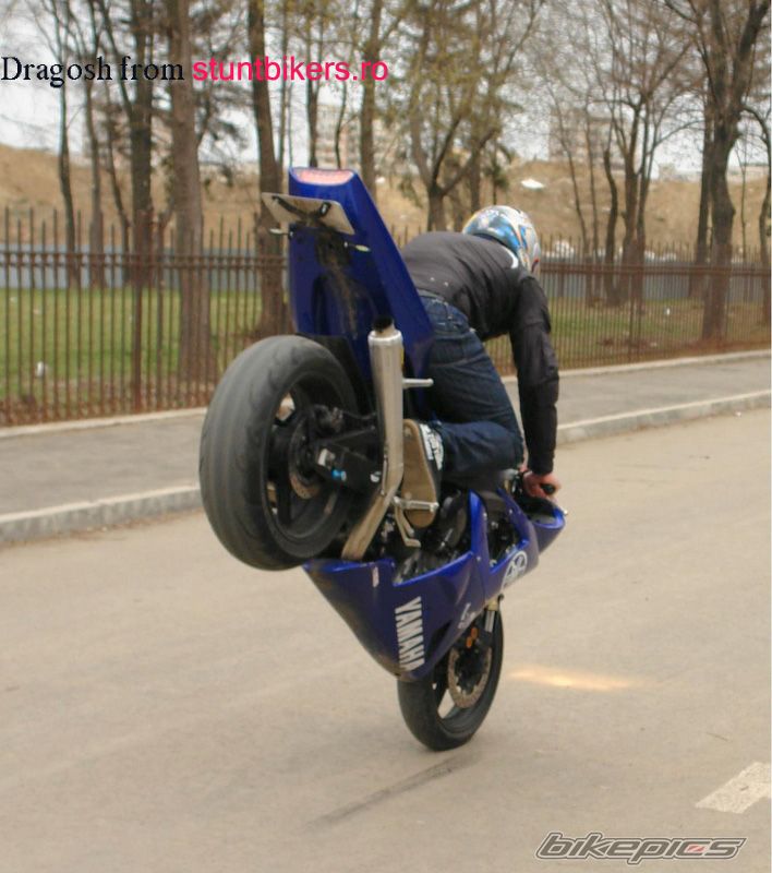 Photo 1282044