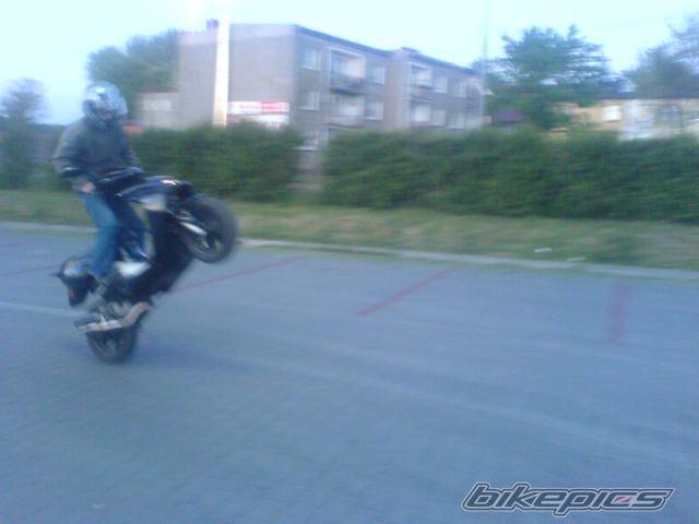 Photo 1282050