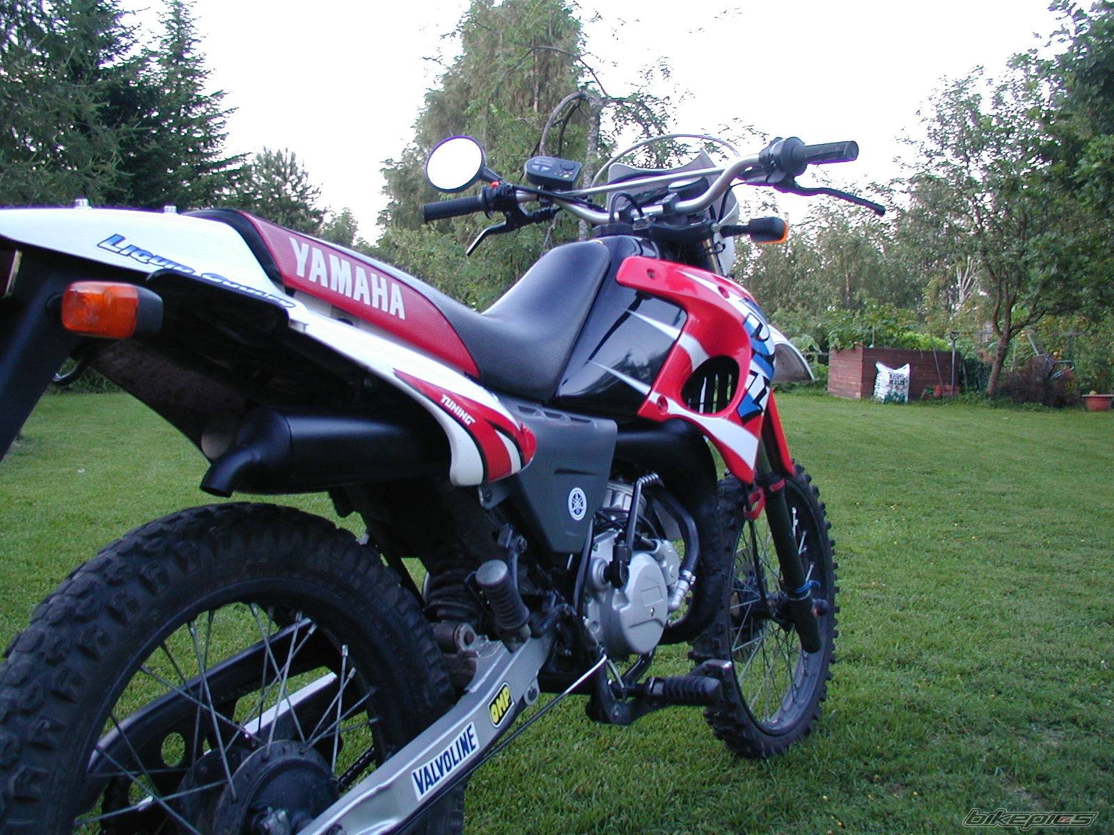 Photo 128206