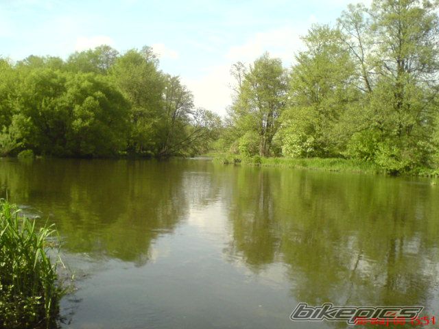 Photo 1282111