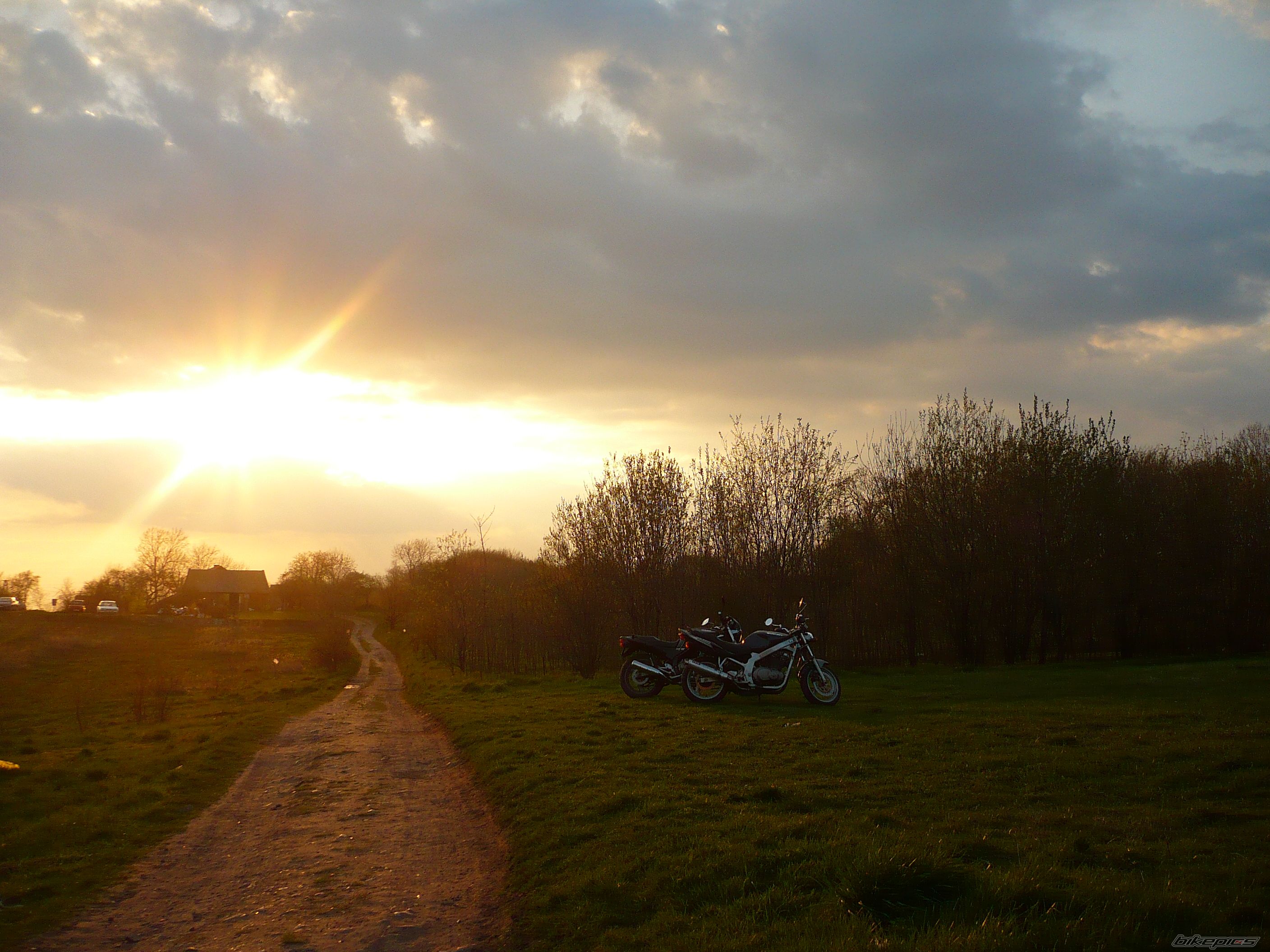 Photo 1282182