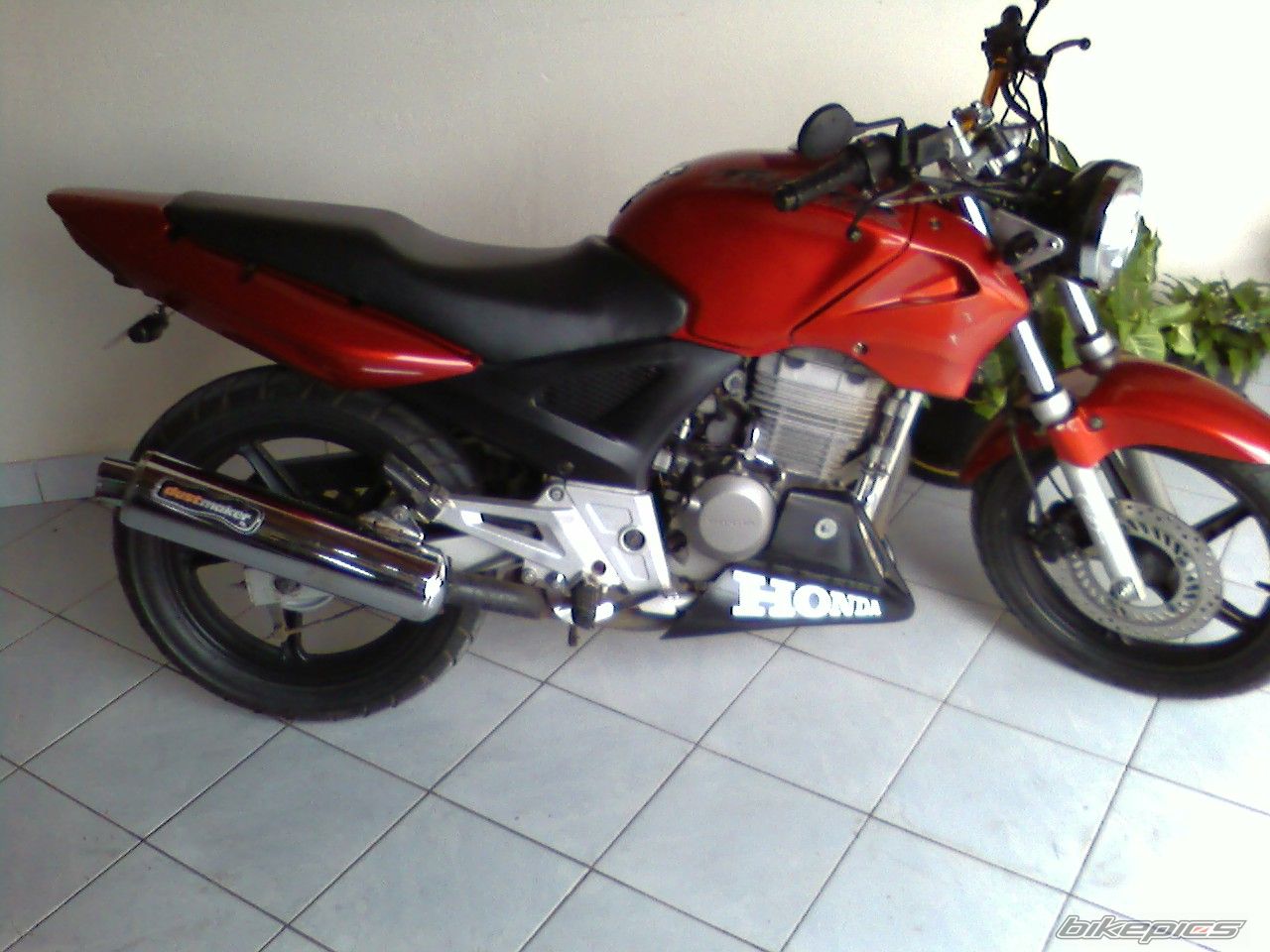 Photo 1282305