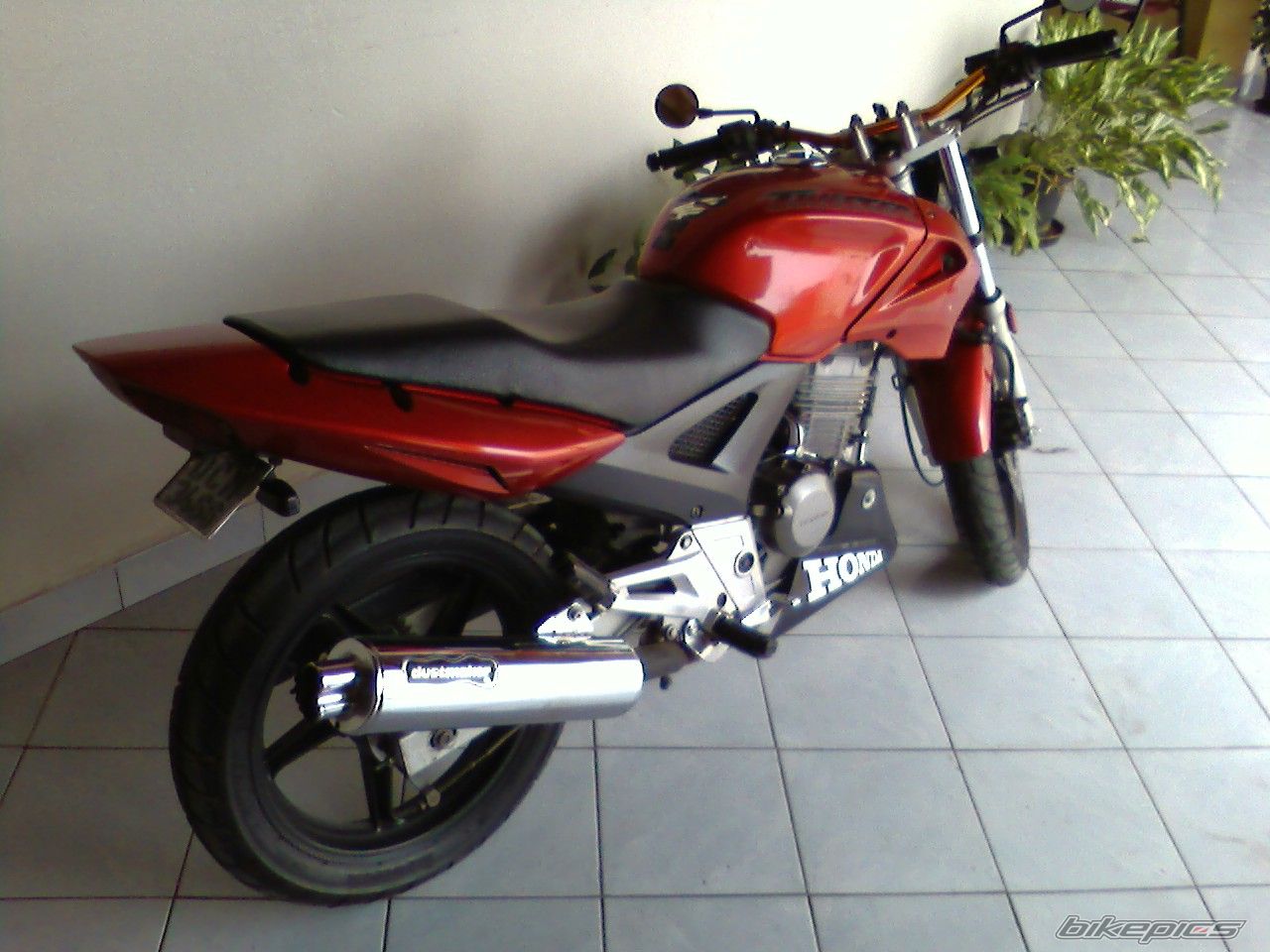 Photo 1282307