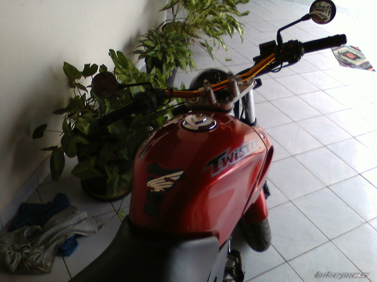 Photo 1282308