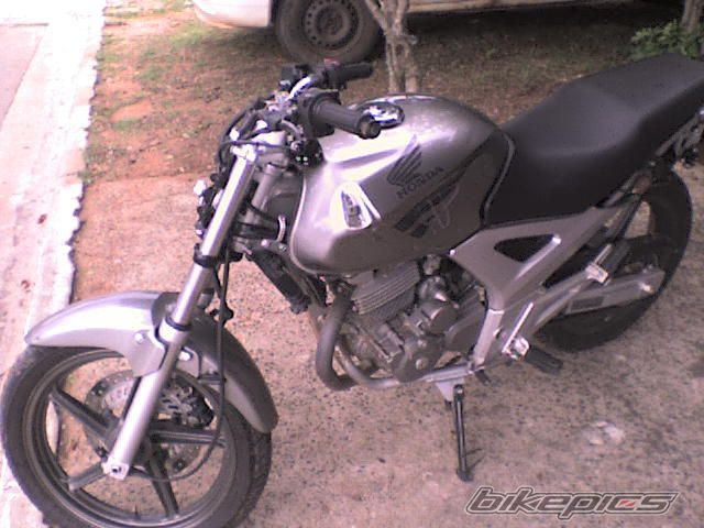 Photo 1282315