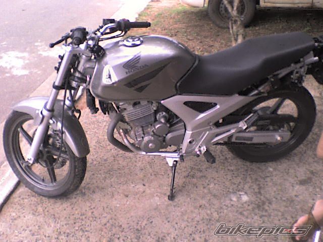 Photo 1282316