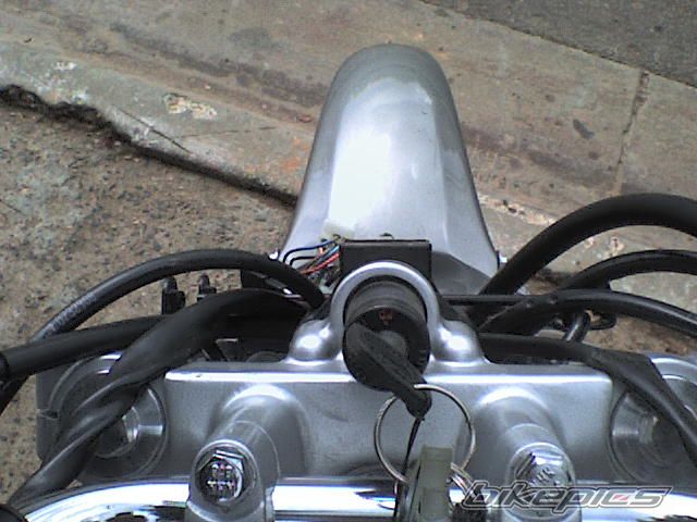 Photo 1282318