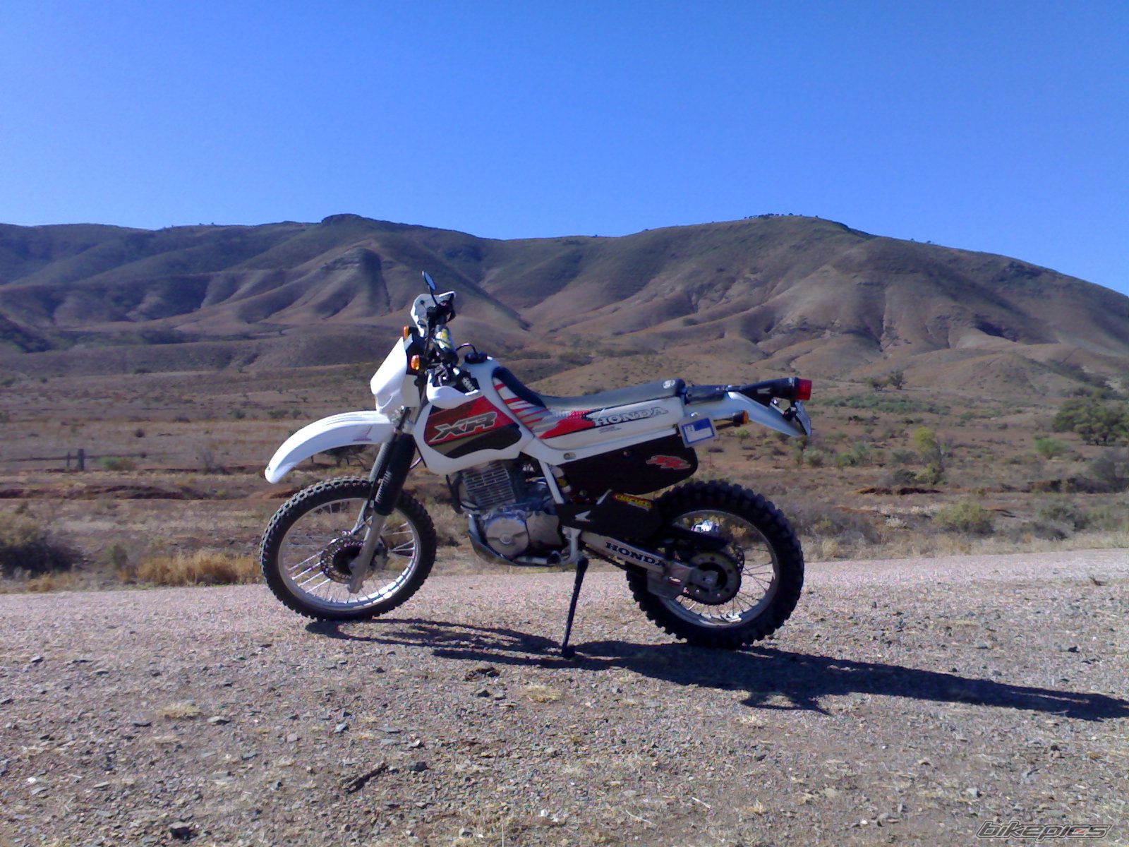 Photo 1282328