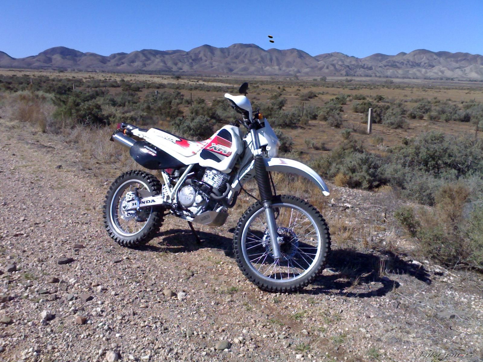 Photo 1282330