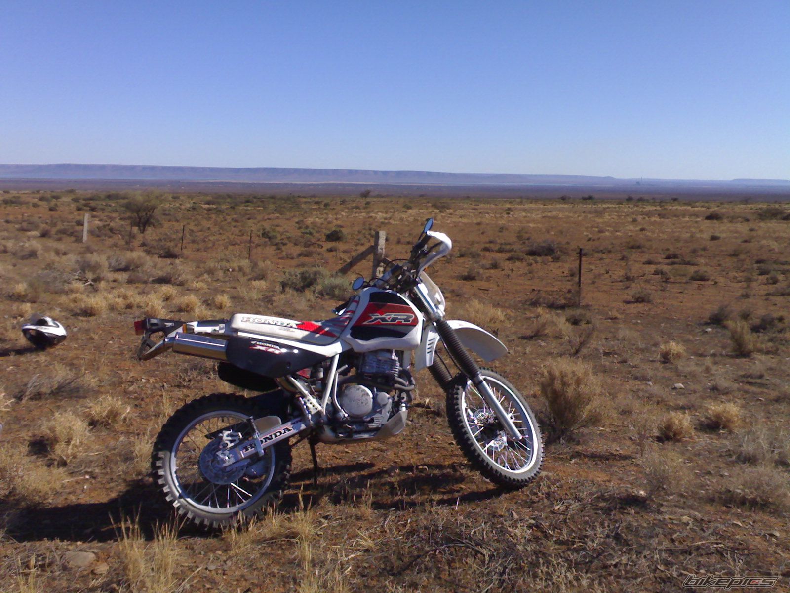 Photo 1282331
