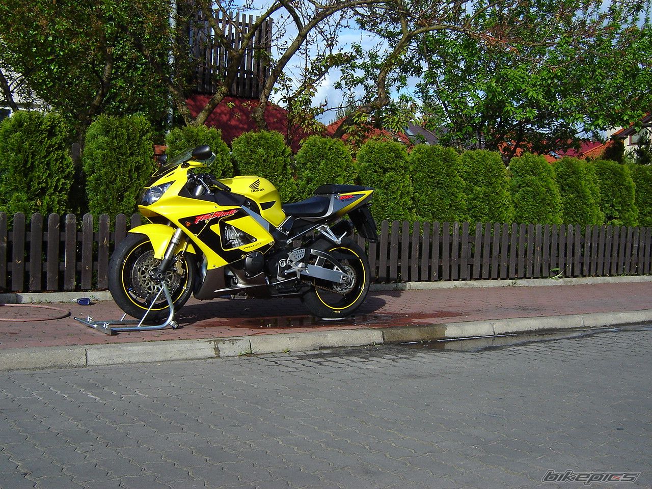 Photo 1282381