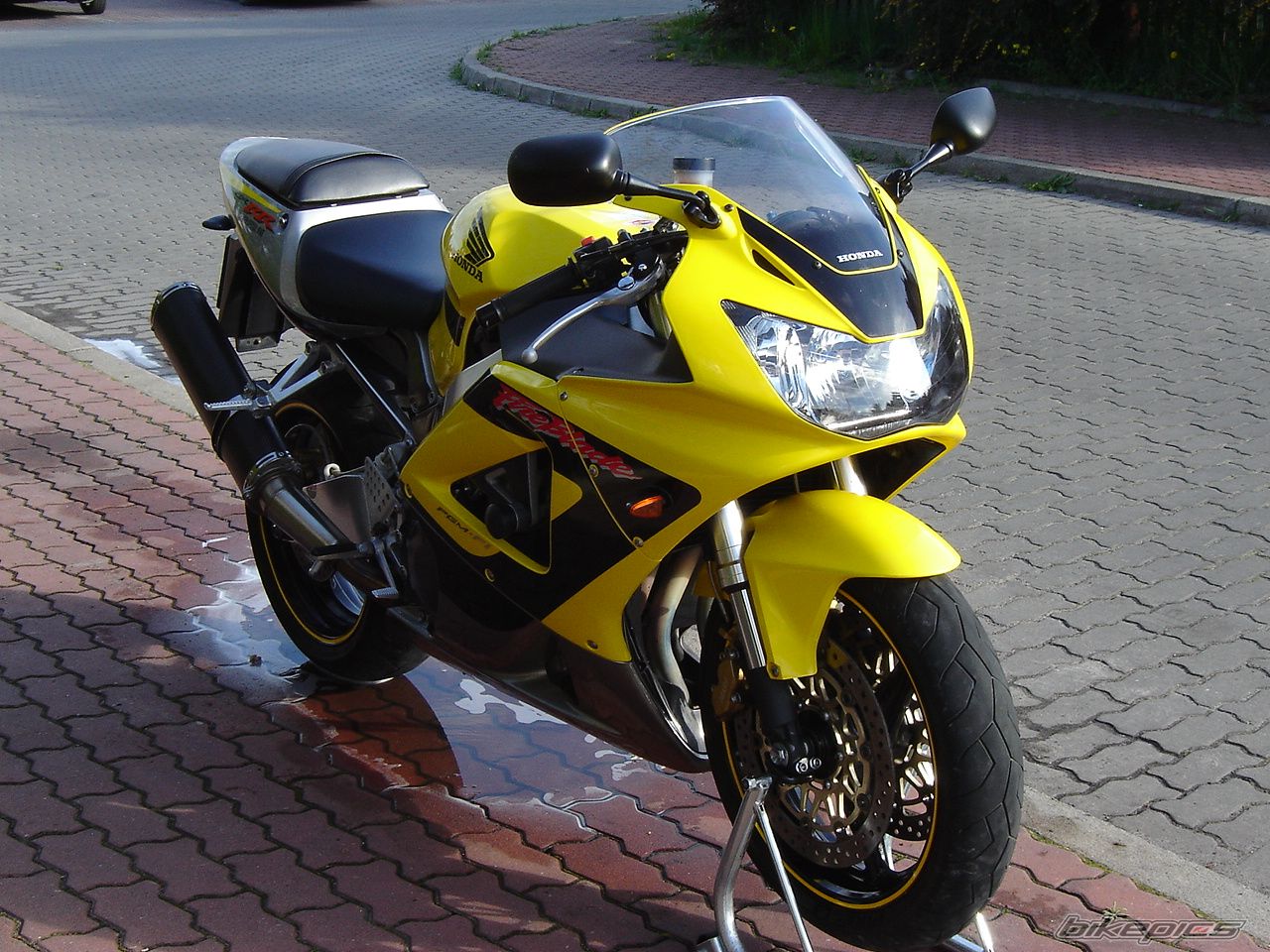 Photo 1282383