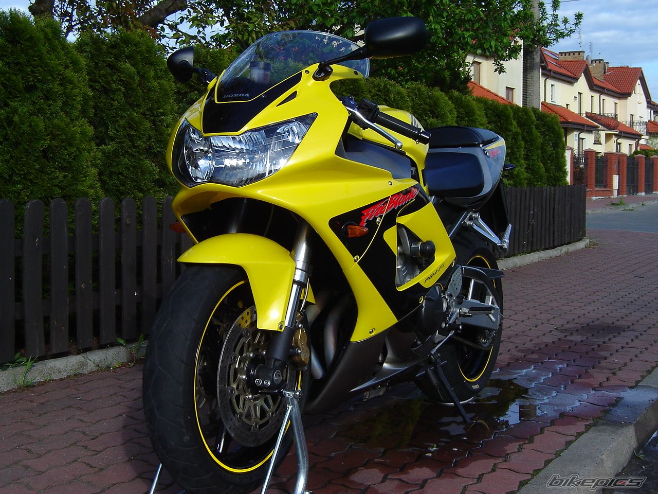 Photo 1282385