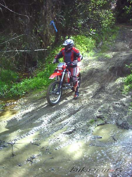 Photo 1282418
