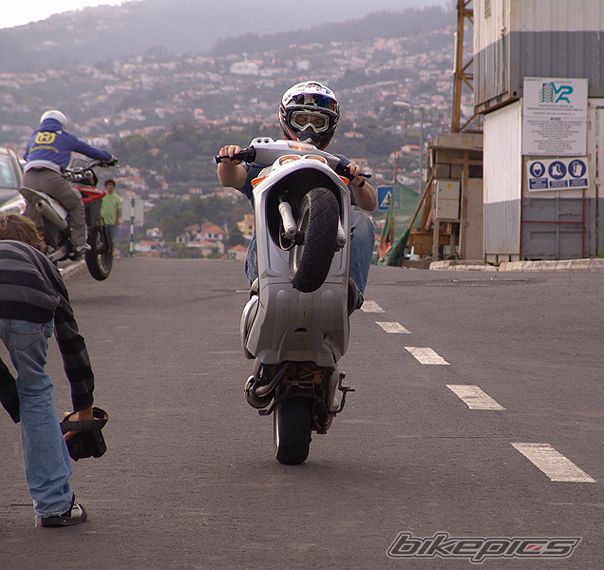 Photo 1282439