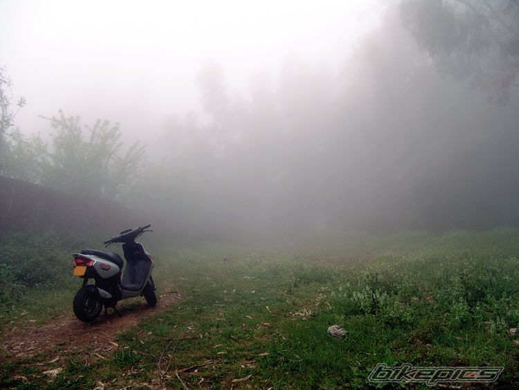 Photo 1282441