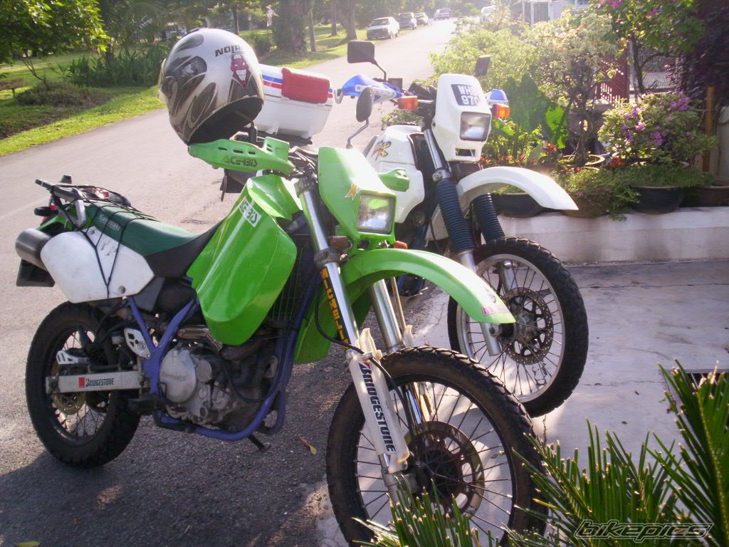 Photo 1282442