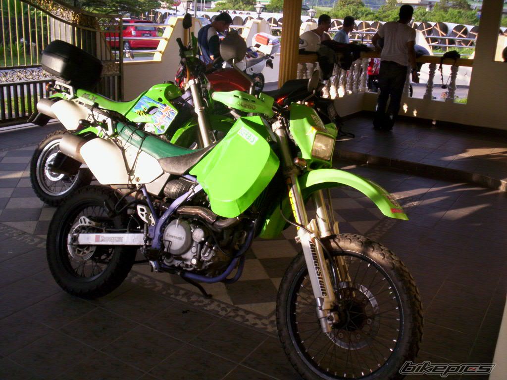 Photo 1282444